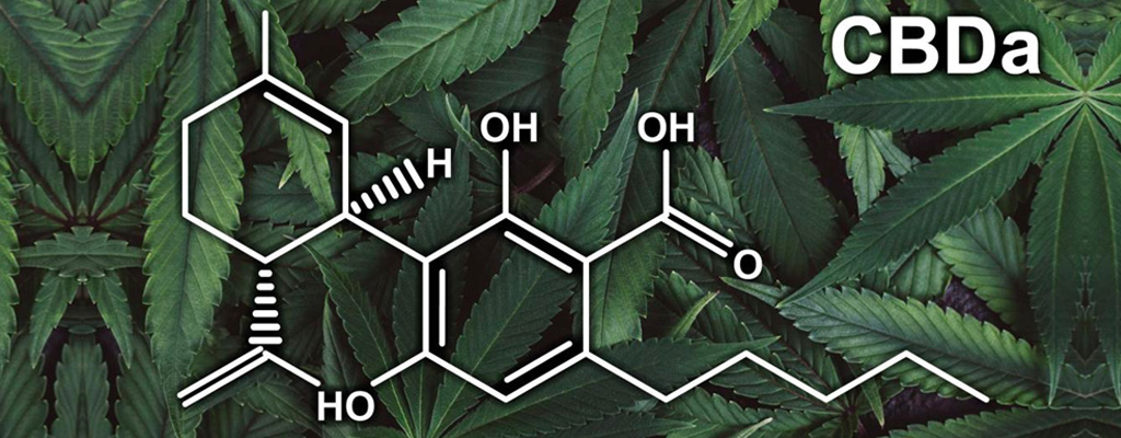 what is cbd a