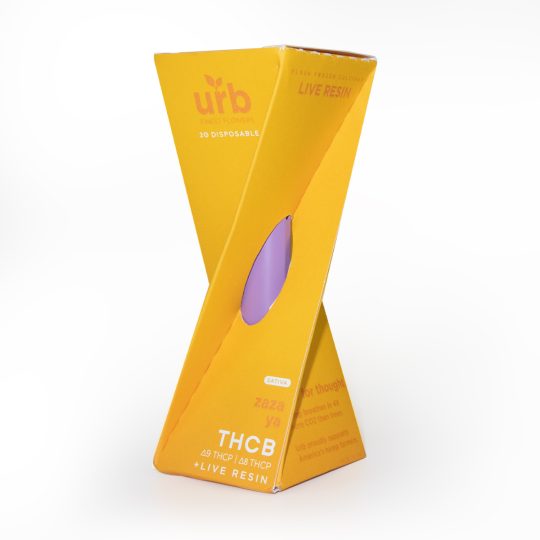 URB THCB Disposable | 2g - Delta8Resellers