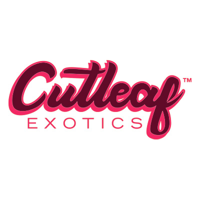 Cutleaf Exotics