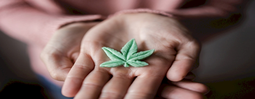 Two outstretched hands hold a stylized hemp leaf in closeup view.