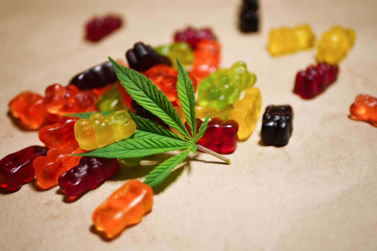 A hemp leaf sits on top of a pile of multicolored gummies.