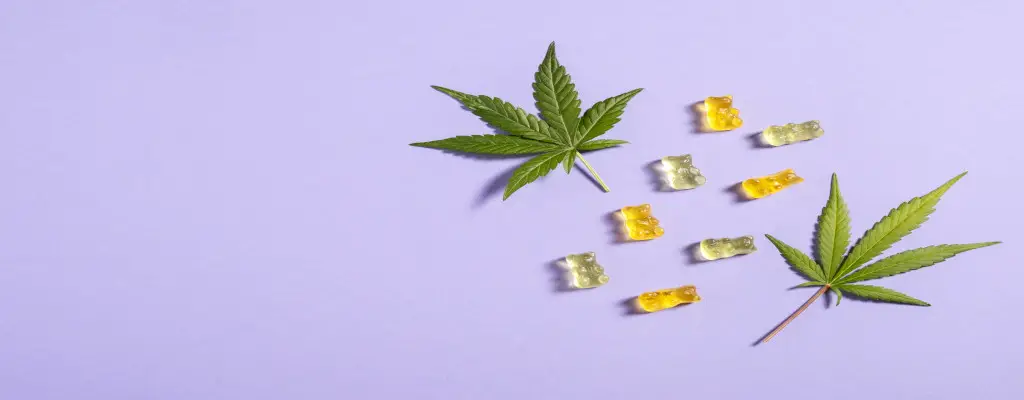 An overhead view of two hemp leaves and eight gummies on a table.