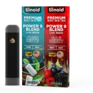 Binoid Power 9 Blend Disposable 2 Pack 2g Kush Mints x Gas Berry