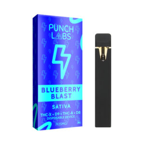 punch labs comp 925mg disposable blueberry blast