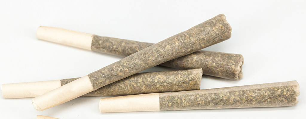 Five pre-rolls set against a white background.