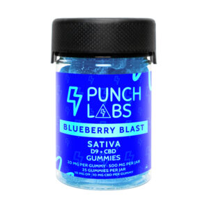 punch labs gummies blueberry blast
