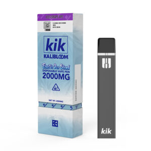 kik exotic ice blend disposable | 2g