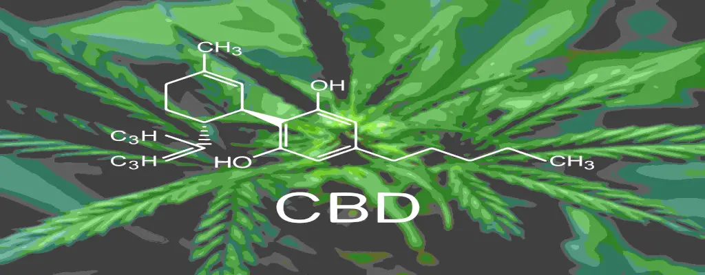 The chemical formula of CBD is shown in front of a hemp plant.