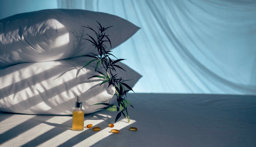 A hemp stalk, CBD oil and CBD capsules sit on a bed next to a pillow in a darkened room.
