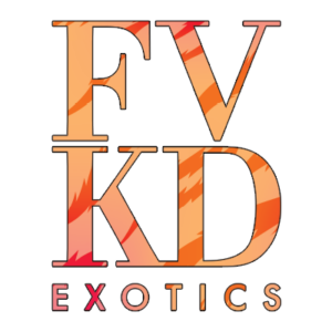 FVKD Products For Sale