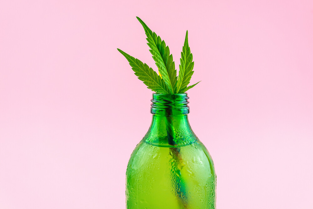 A hemp leaf sticks out of a green bottle in front of a pink background. 