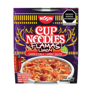 nissin cup noodles flamas