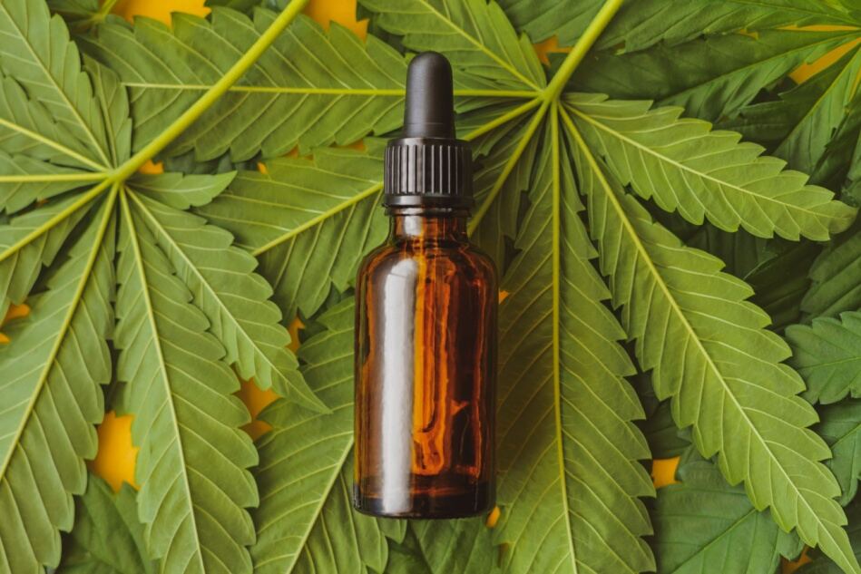 A bottle of CBD oil sits on a background of hemp leaves. 