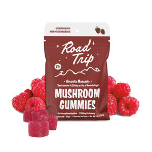 road trip amanita muscaria mushroom gummies 3500mg raspberry