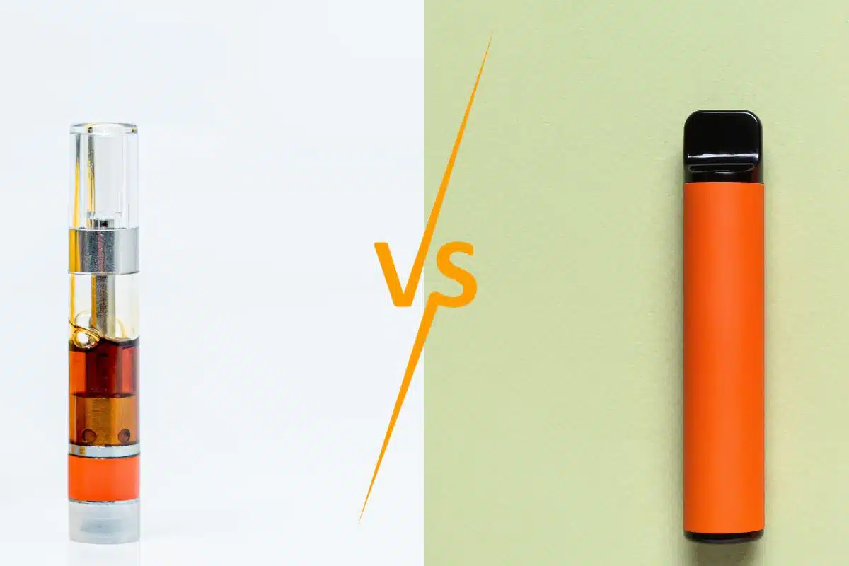 Vape Cartridges Vs Disposable, Which One Is Right For You