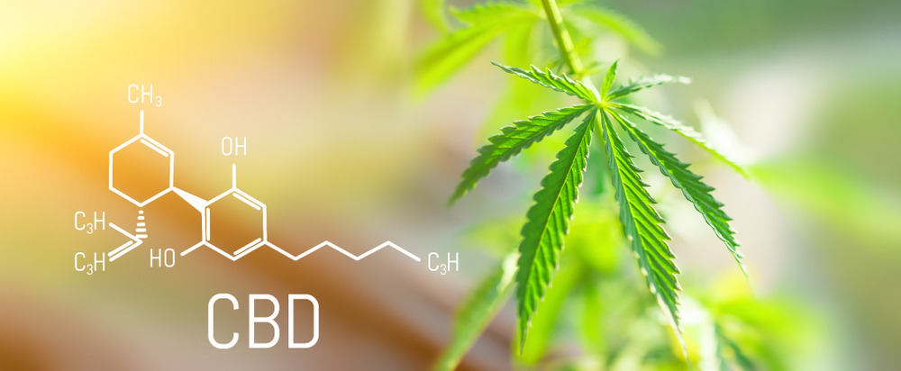 The chemical formula and name “CBD” are superimposed on a picture of a hemp leaf. 