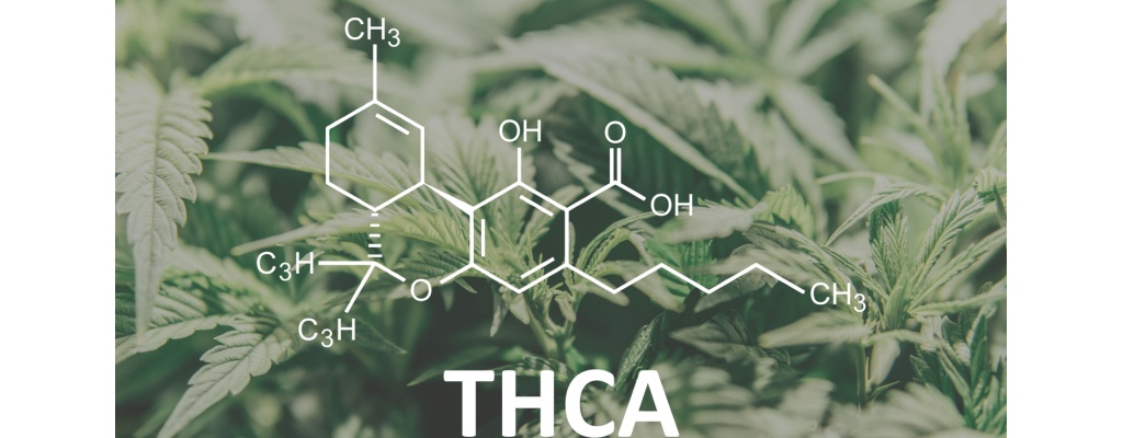The chemical formula for THCA shown in front of a background of hemp leaves. 