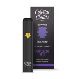 coastal clouds hemp hhc cbn hhcp 2g disposable purple berry rntz