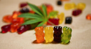 A row of gummy bears stand in the foreground, with a pile of gummy bears covered by a hemp leaf in the background. 