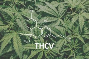 The chemical formula for THC-V, seen in front of a background of hemp leaves. 