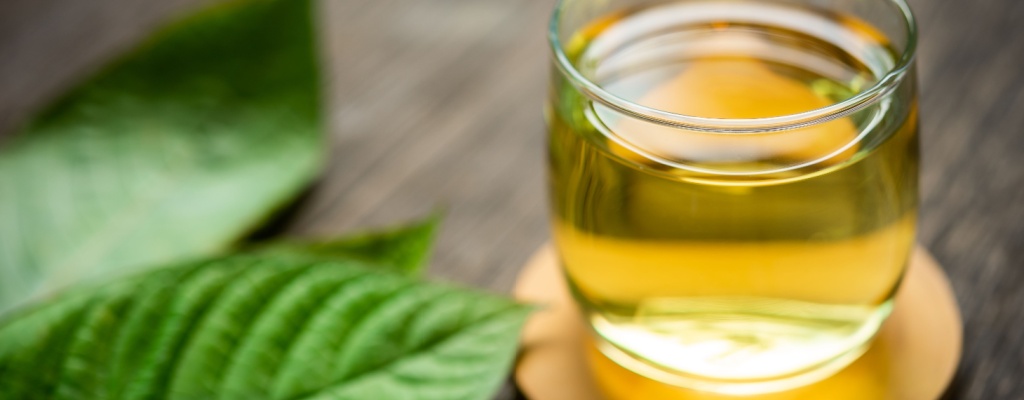 a glass of kratom tea sits on a table next to a kratom leaf