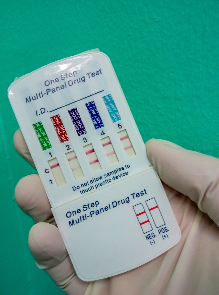 A gloved hand holds a five-panel drug test.