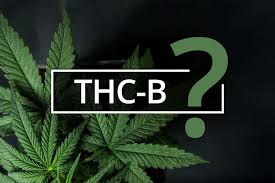 thc-b