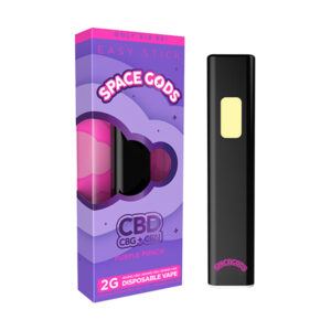 space gods easy stick cbd blend 2g disposable purple punch