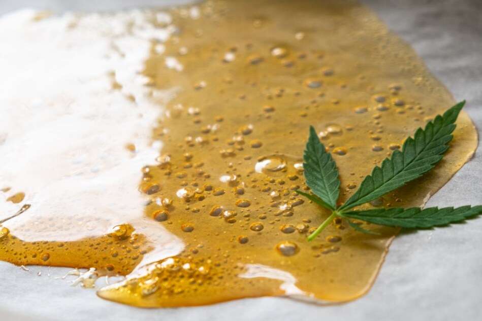 A hemp leaf sits on a puddle of distillate. 