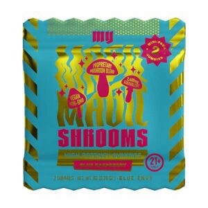 my magic shrooms 2ct gummies blue raspberry