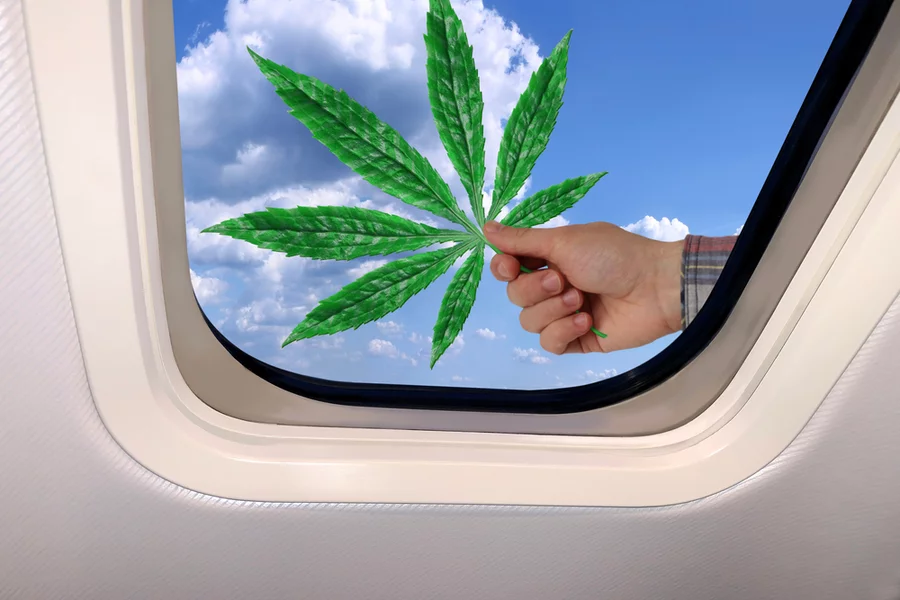 A hand holds a hemp leaf outside an airplane window.