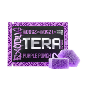 exodus tera bytes 2500mg 2ct gummies purple punch