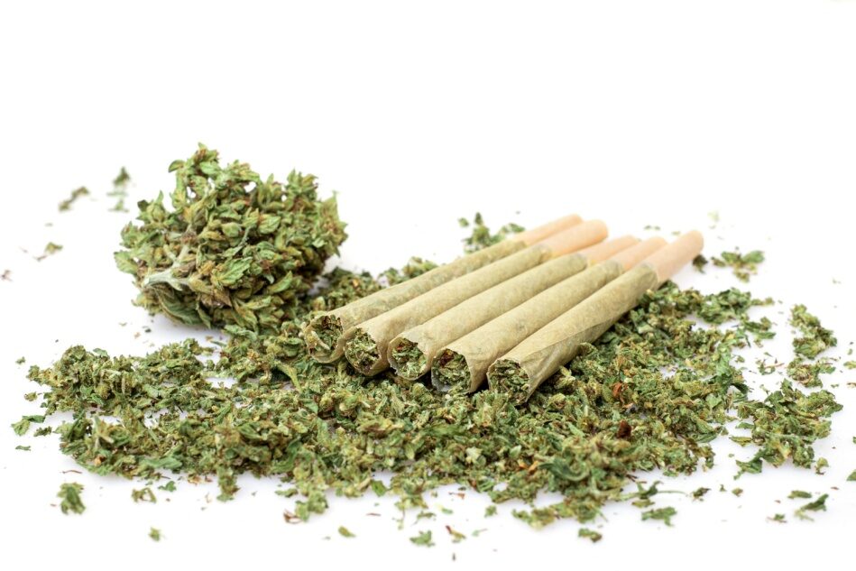 Pre-rolls sit on top of a mound of ground flower. 