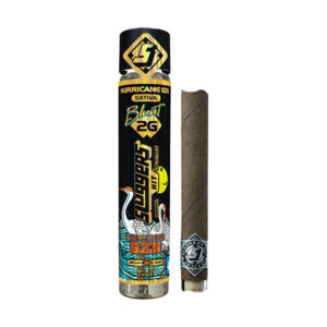 sluggers 2g blunt hurricane szn
