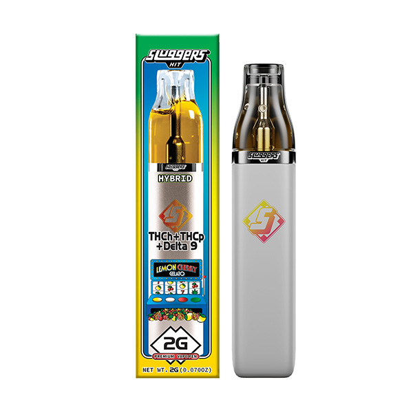 Sluggers Hit Gram Slam Disposable | 2g
