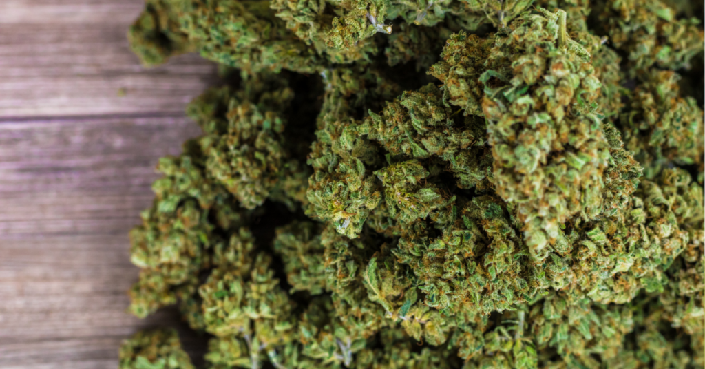 Learn more about cbd gummies vs cbd oil and know which is best for your preferred experience.