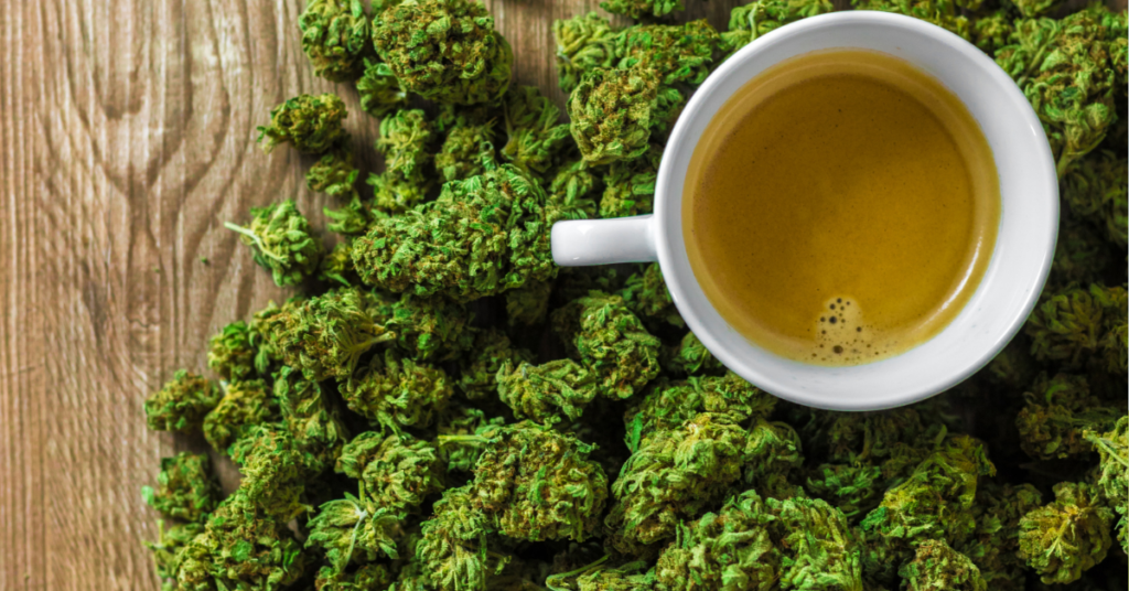 full spectrum vs broad spectrum cbd and their difference is not that difficult to distinguish.