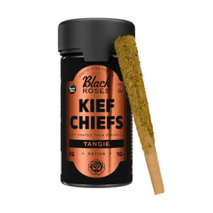 black roses kief chiefg thca prerolls 10ct tangie