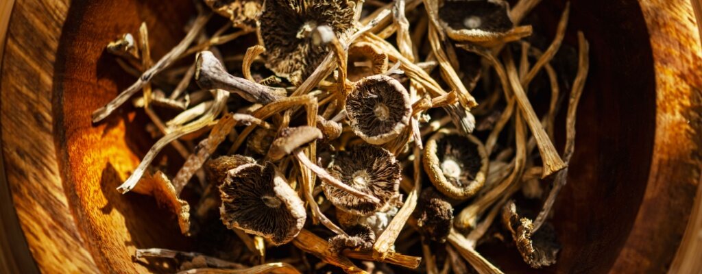 Dried mushrooms sit in a wooden bowl.