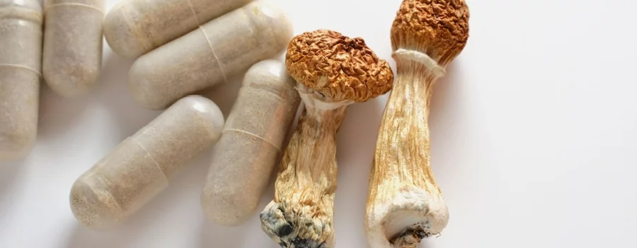 Mushroom capsules and dried mushrooms seen from above against a white background.