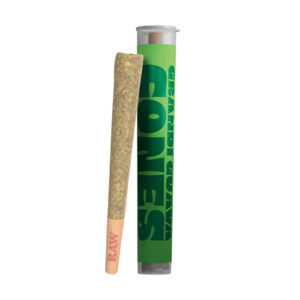 ice kream cones 1.5g thca pre roll grandi guava