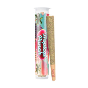 zilly zanka hash hole pre roll 2g tropical punch