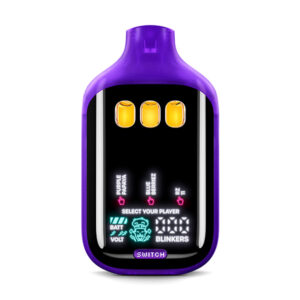 boutiq switch v5 2g disposable purplepapaya blueberriez rz 11
