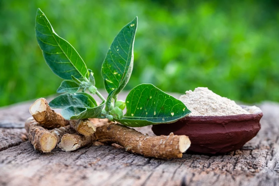 Ashwagandha roots, leaves, and powder sit on a table.