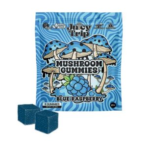 juicy trip mushroom gummies 8ct blue raspberry