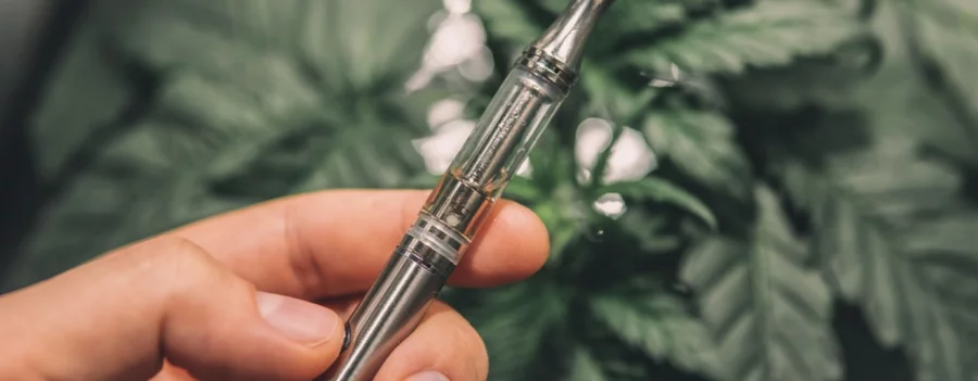 A hand holds a vape pen in front of a hemp plant.