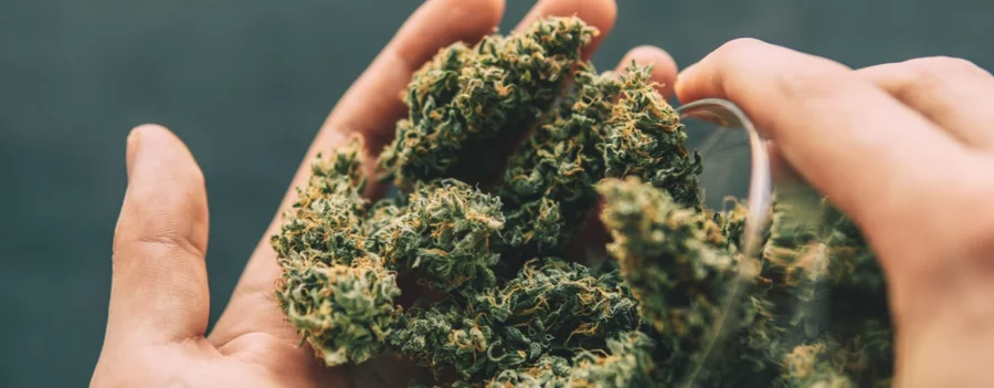 A person places cannabinoid flower in their hand from a glass jar.