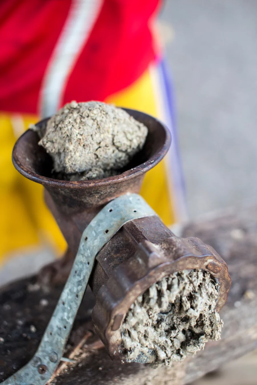 The preparation of the sacred kava plant for consumption.